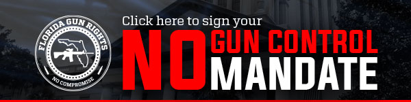 No Gun Control Mandate